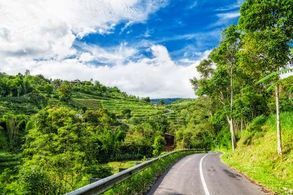 Aluguel de carro com motorista em Bali