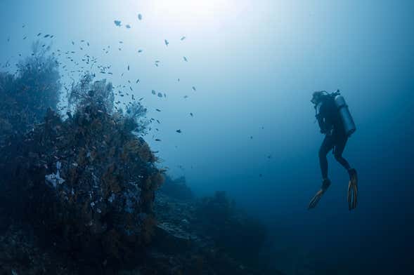 Mergulho em Bali