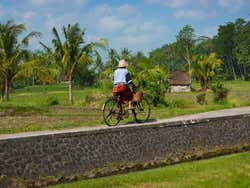 De bici pelos campos de arroz