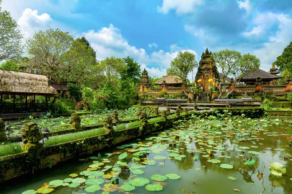 Visita guiada por Ubud